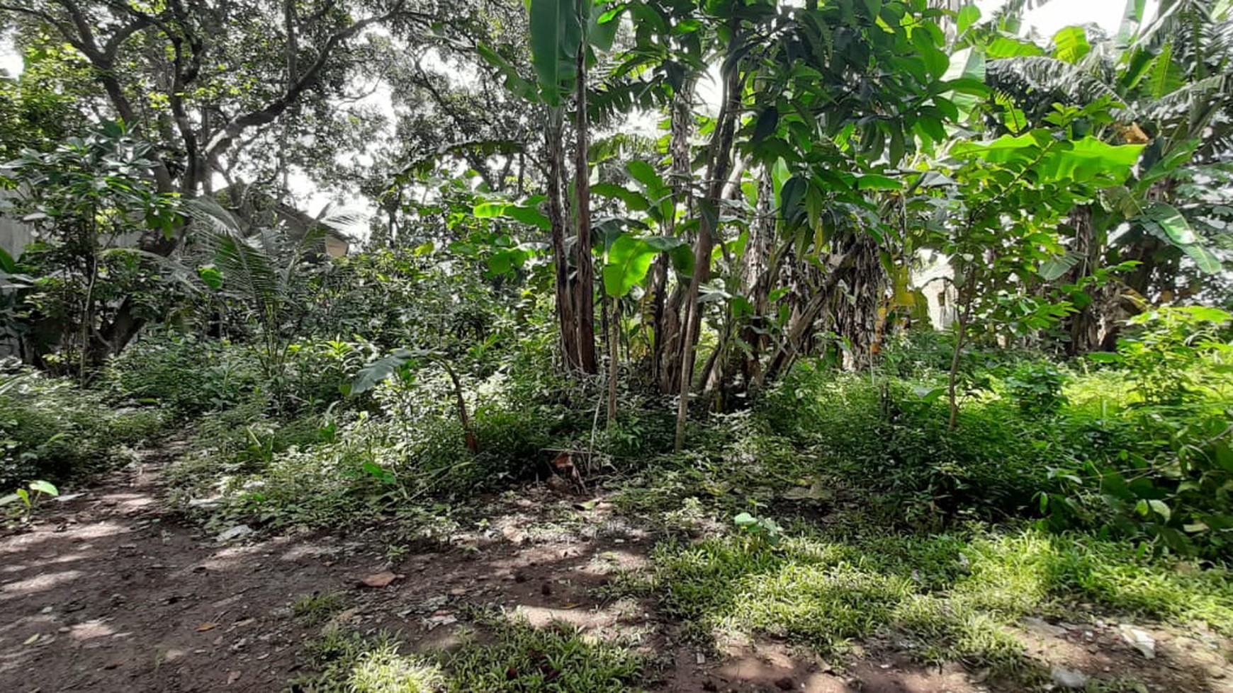 Tanah Keren Diarea Beji Depok Samping Kampus UI & Nempel Toll Cijago 