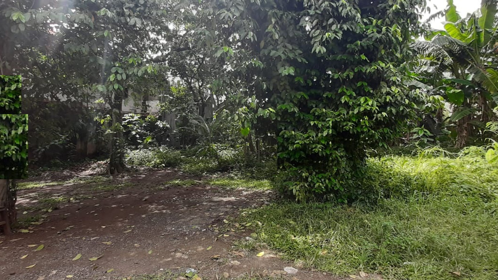 Tanah Keren Diarea Beji Depok Samping Kampus UI & Nempel Toll Cijago 