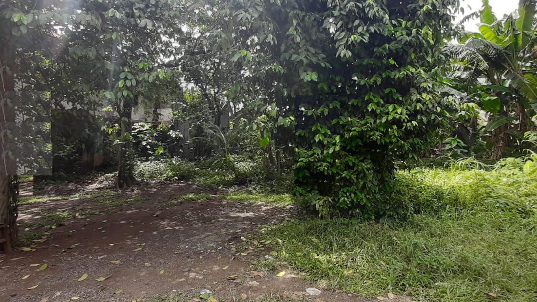 Tanah Keren Diarea Beji Depok Samping Kampus UI & Nempel Toll Cijago 