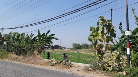 Tanah Pusat Industri Jalan Krikilan Gresik