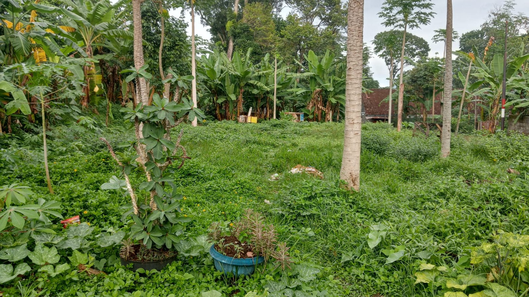 Tanah Luas 680 Meter Persegi Lokasi Sidomukti Salatiga Jawa Tengah 