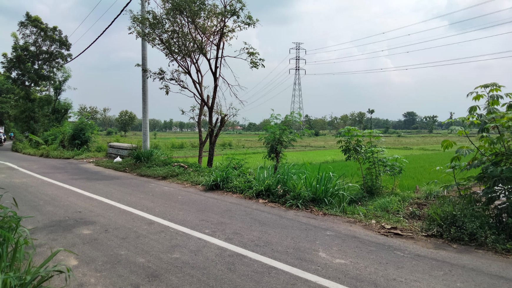 Tanah Sawah Luas 2475 Meter Persegi Lokasi Ketandan Klaten 