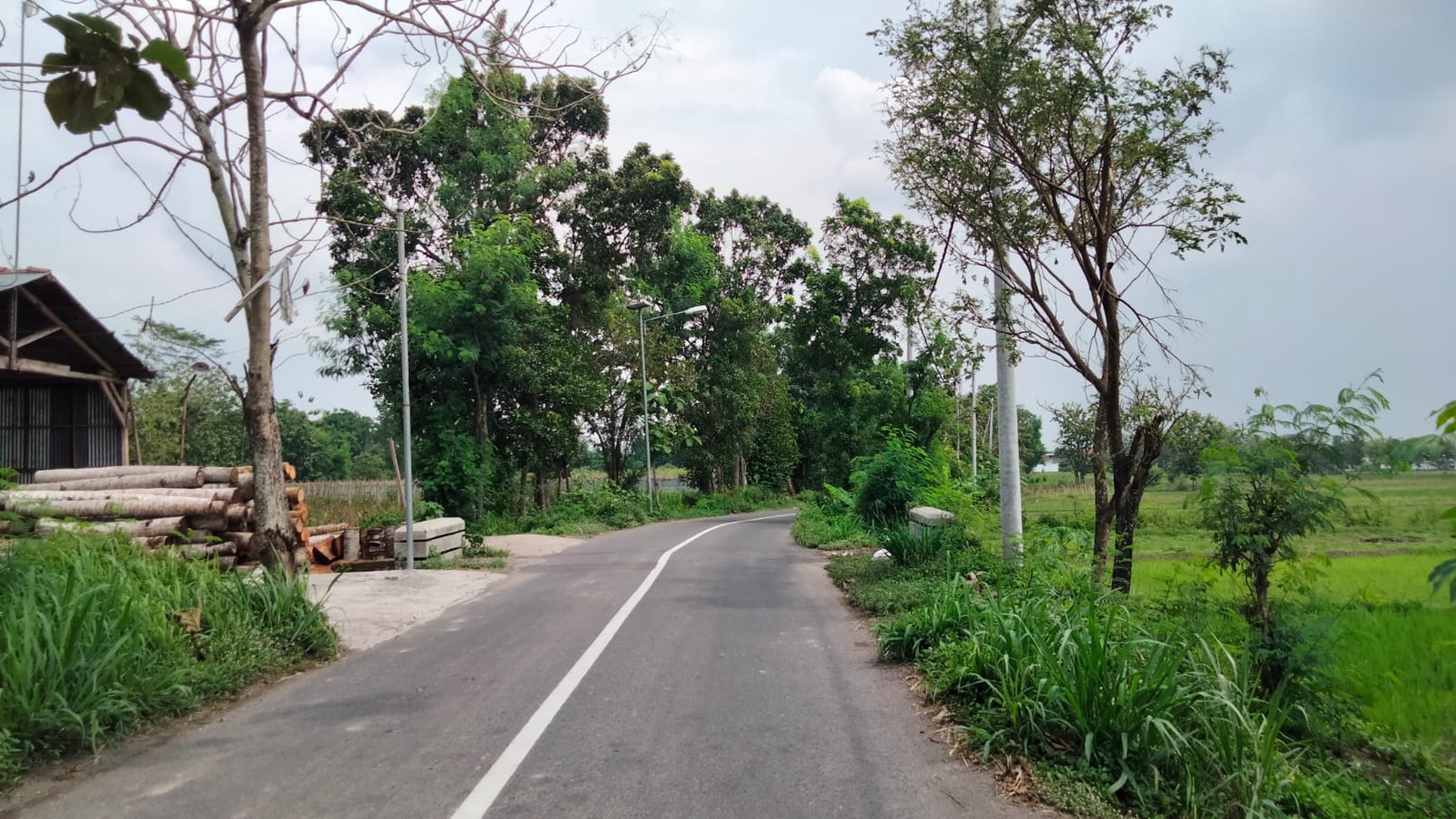 Tanah Sawah Luas 2475 Meter Persegi Lokasi Ketandan Klaten 