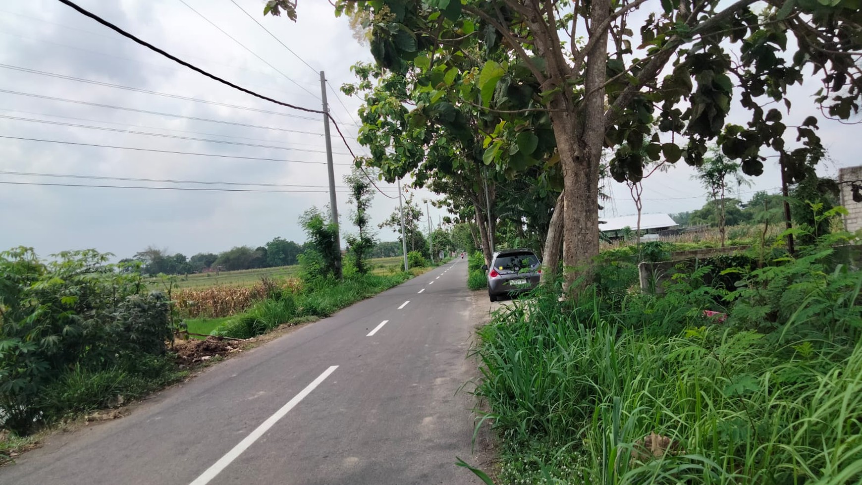 Tanah Sawah Luas 2475 Meter Persegi Lokasi Ketandan Klaten 