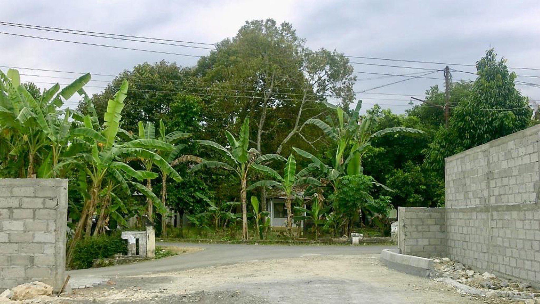 Tanah Pekarangan Luas Lokasi Dekat Kampus UMY Kasihan Bantul