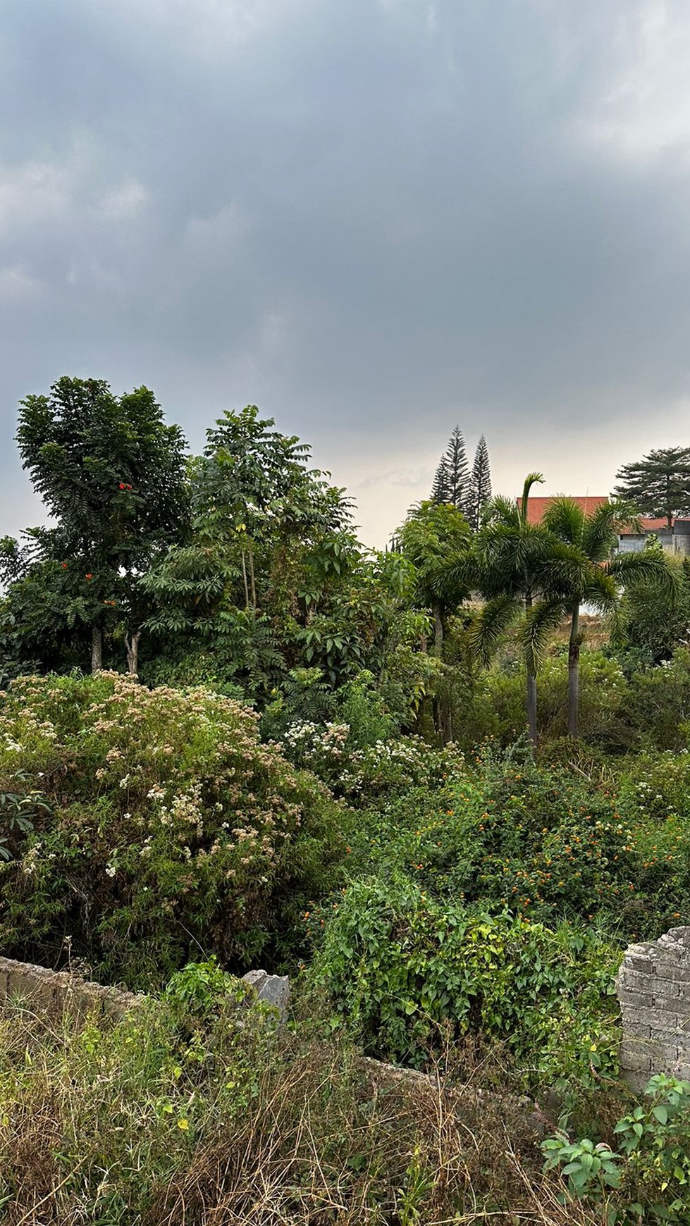 Tanah Siap Bangun di Komplek Setaibudi Regency, Bandung