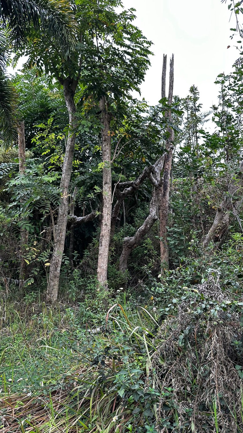 Tanah Siap Bangun di Komplek Setaibudi Regency, Bandung