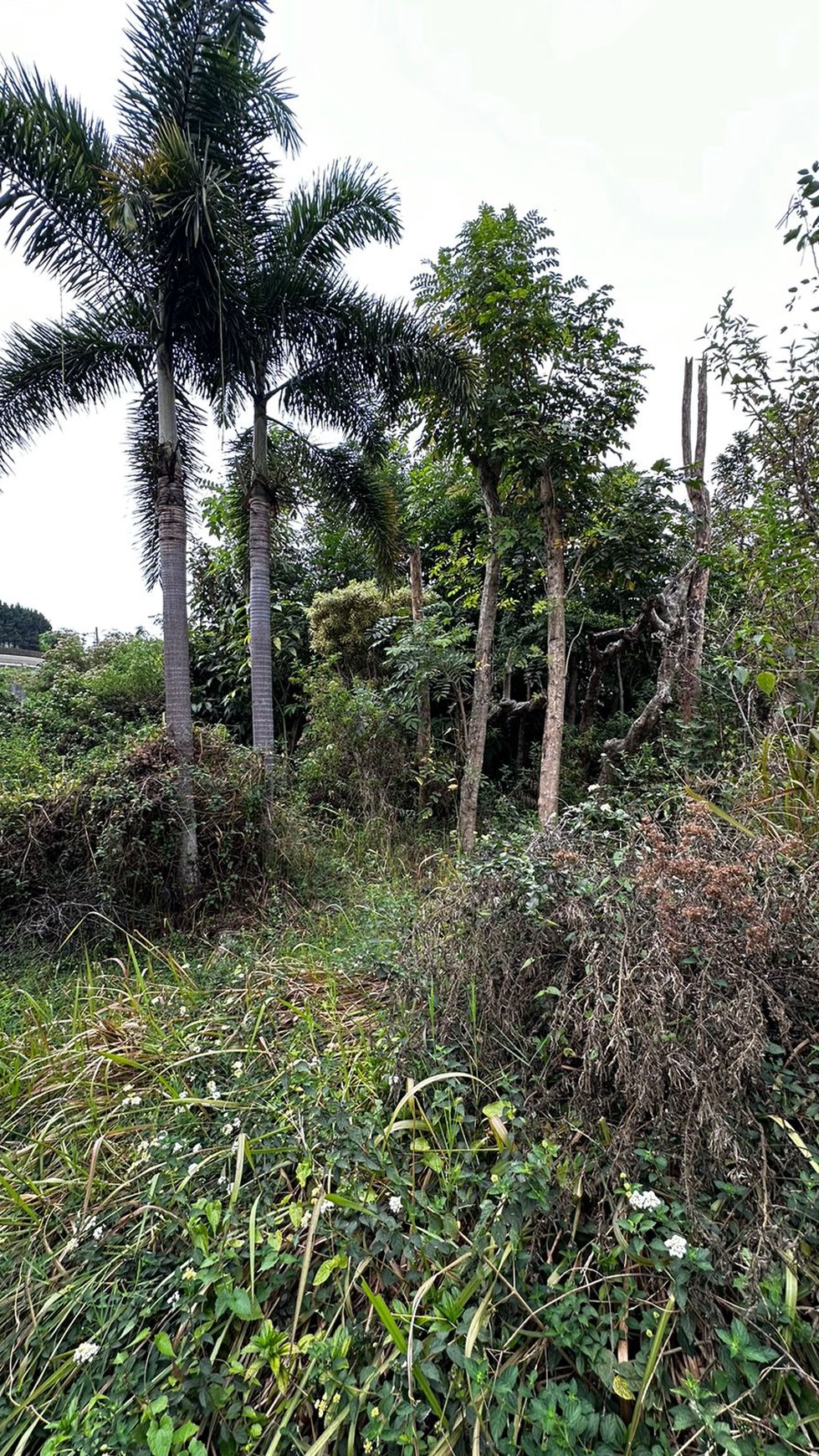 Tanah Siap Bangun di Komplek Setaibudi Regency, Bandung