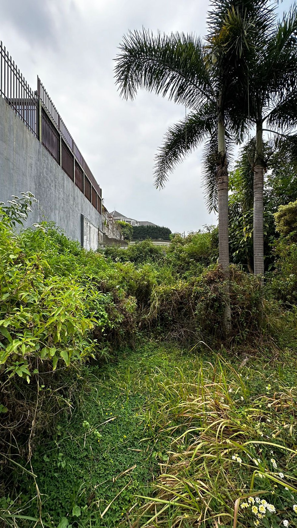 Tanah Siap Bangun di Komplek Setaibudi Regency, Bandung