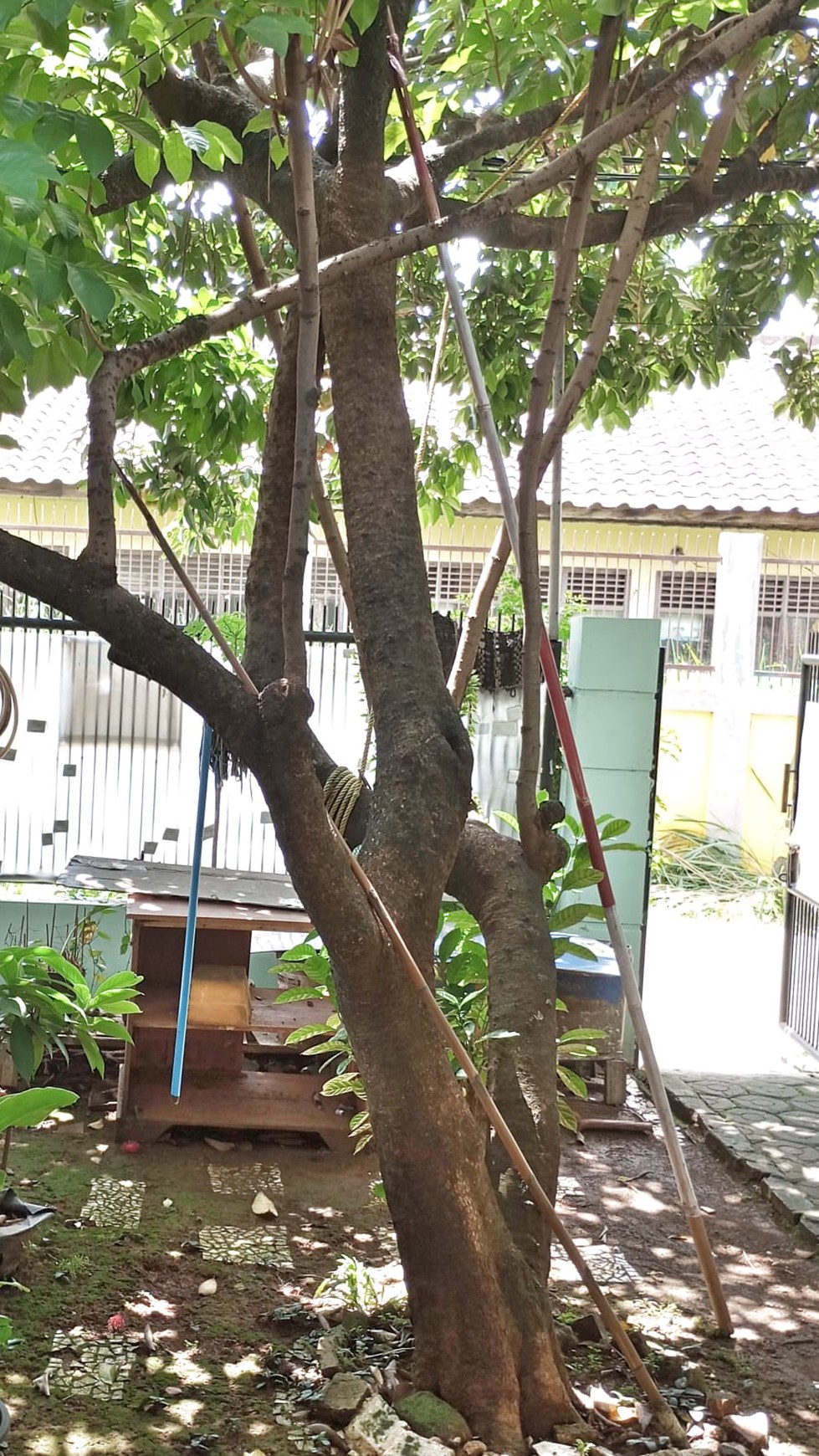 Rumah Asri Pinggir Jalan Dekat ke Stasiun Pondok Ranji #DGLS