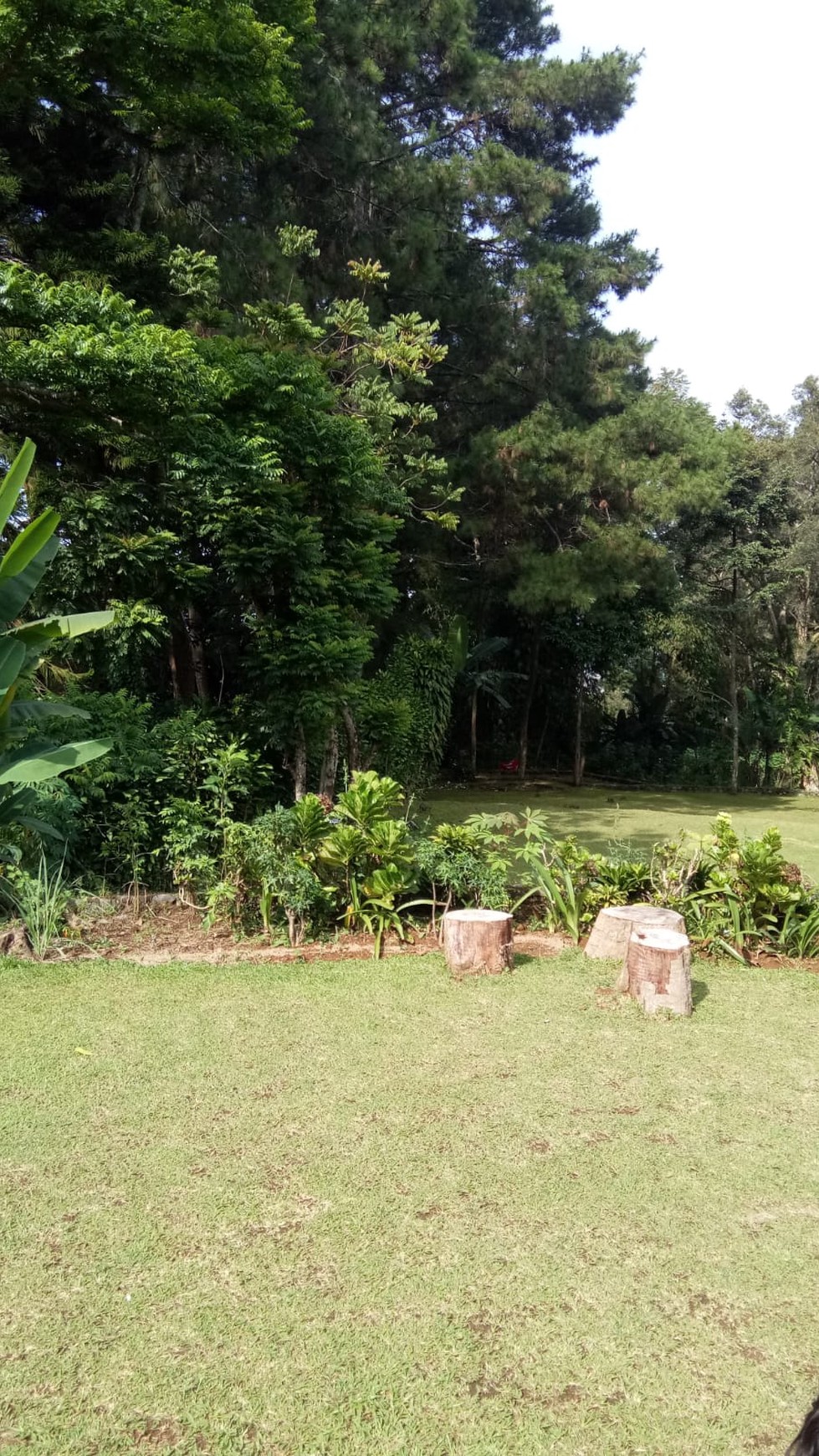 Kavling Siap Bangun Di Batu Layang, Cisarua Bogor Jawa Barat