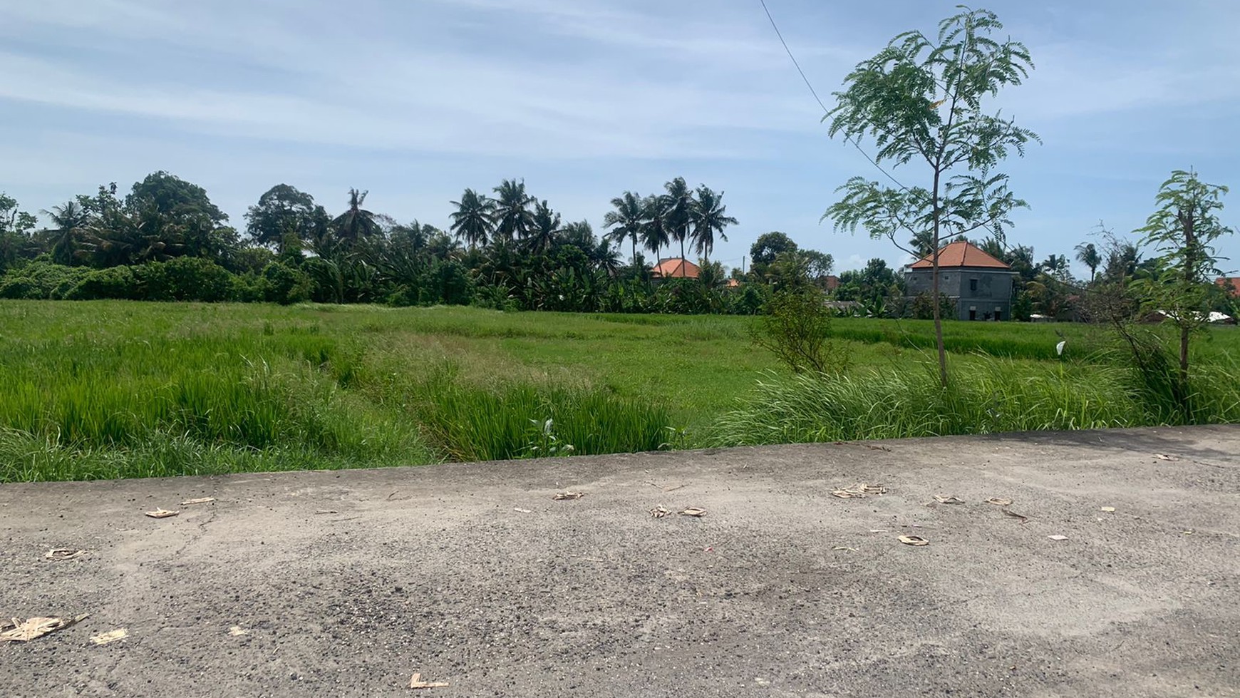 For Sale Leasehold - Land with rice field view area Cemagi 