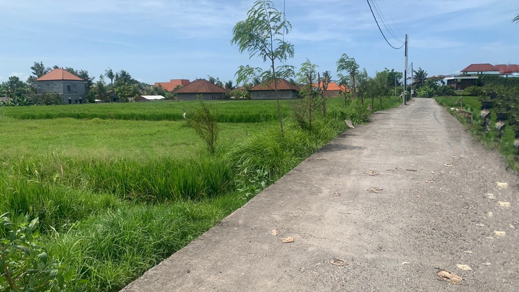 For Sale Leasehold - Land with rice field view area Cemagi 