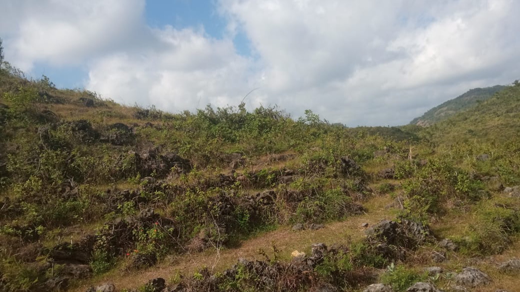 Tanah Luas 13.000 Meter Persegi Lokasi Dekat Pantai Nglambor Wonosari 