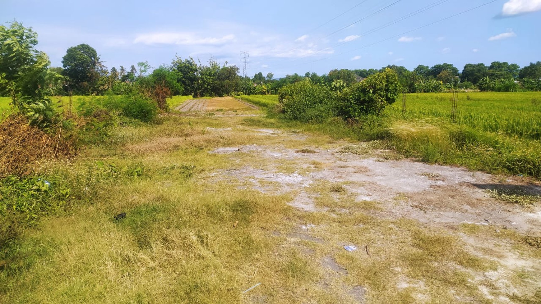 Tanah Luas 1586 Meter Persegi Lokasi Dekat Pabrik Madukismo Kasihan Bantul