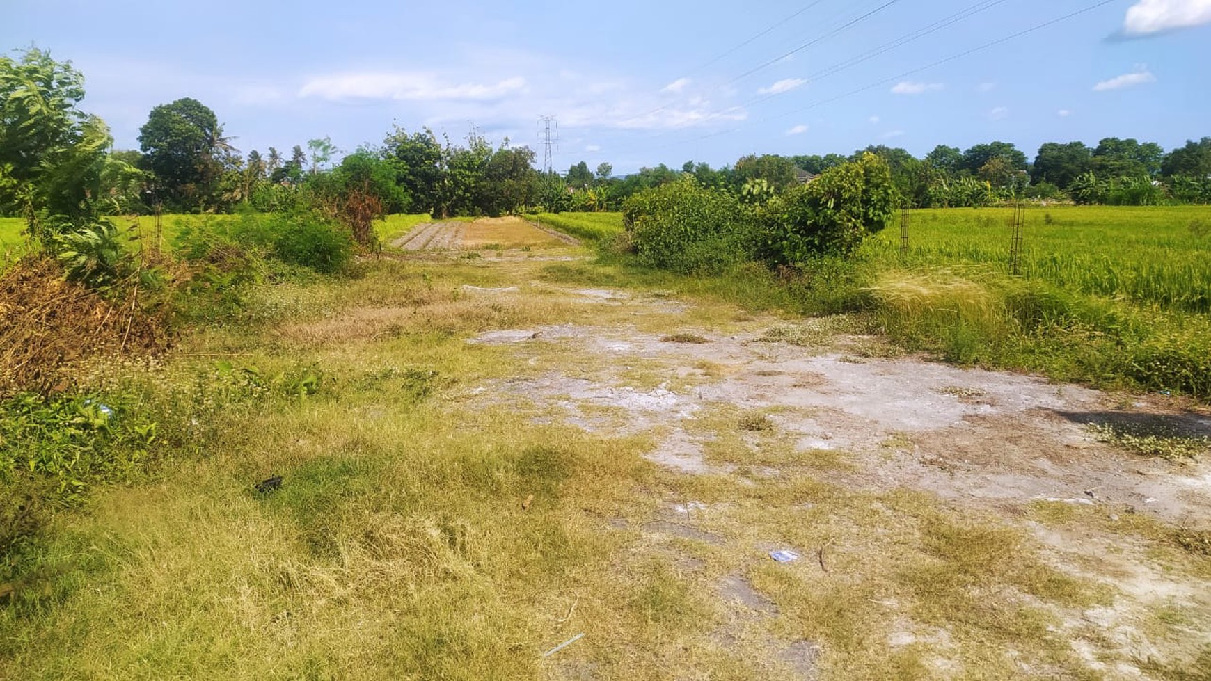 Tanah Luas 1586 Meter Persegi Lokasi Dekat Pabrik Madukismo Kasihan Bantul