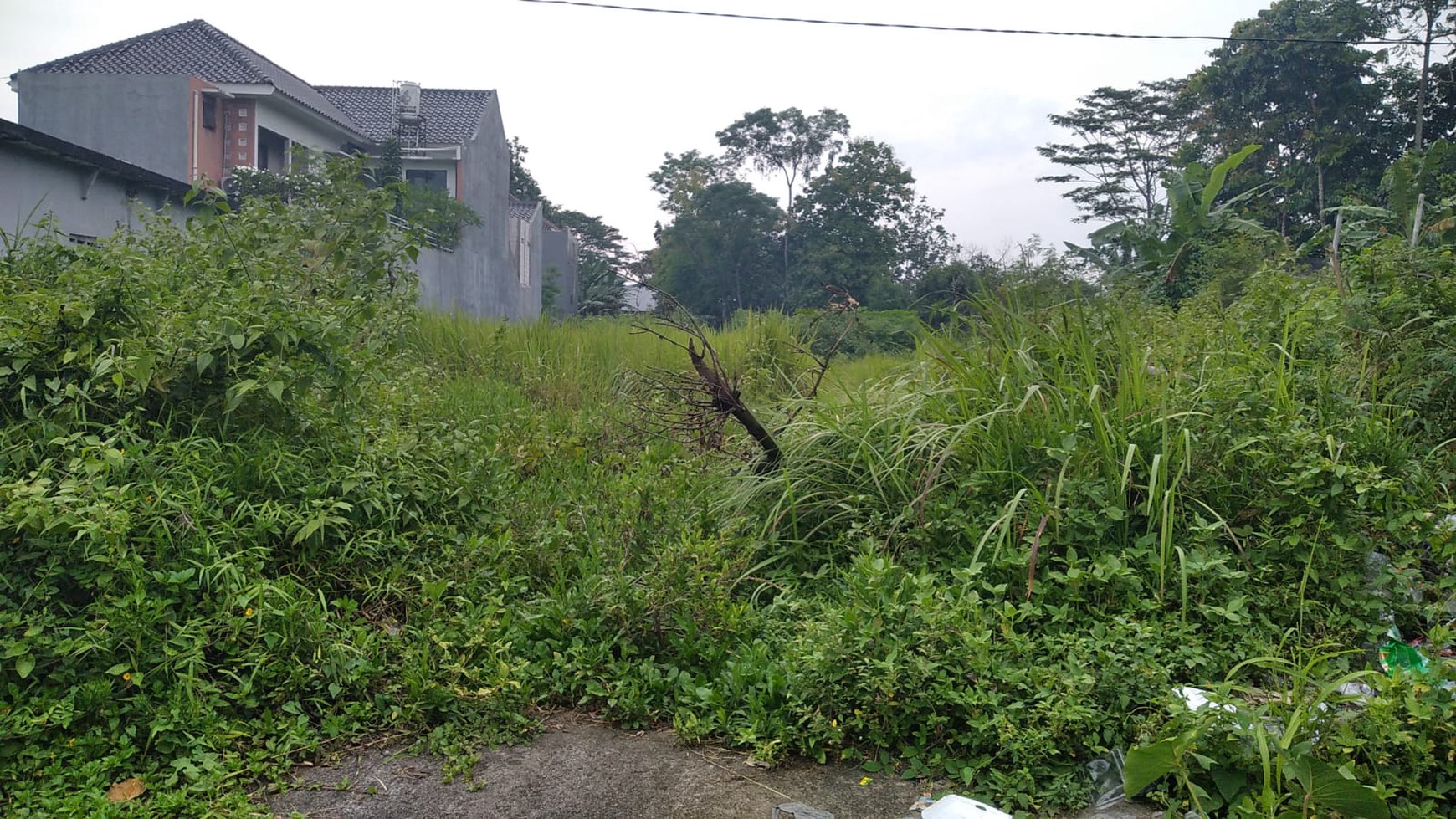 TANAH 1000 METER DISEWAKAN DI JL PESANGGRAHAN DEKAT RS UAD MAGUWOHARJO