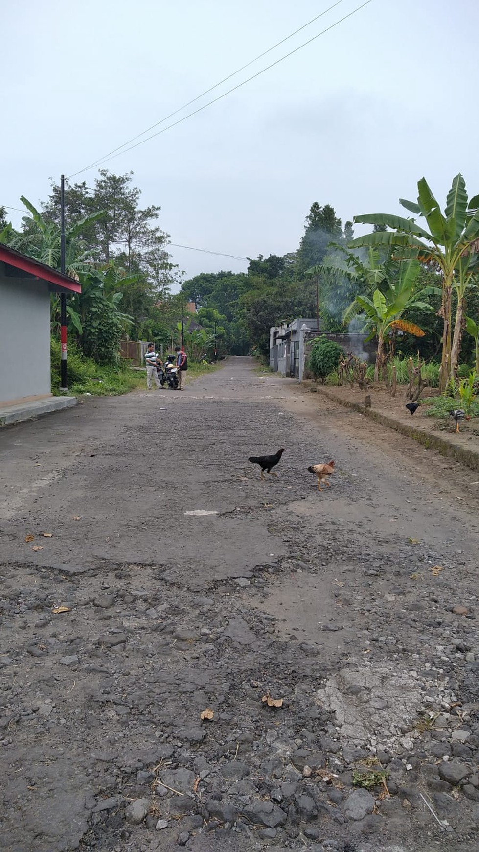 TANAH 1000 METER DISEWAKAN DI JL PESANGGRAHAN DEKAT RS UAD MAGUWOHARJO