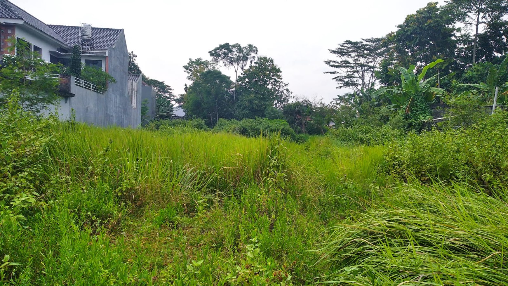 TANAH 1000 METER DISEWAKAN DI JL PESANGGRAHAN DEKAT RS UAD MAGUWOHARJO