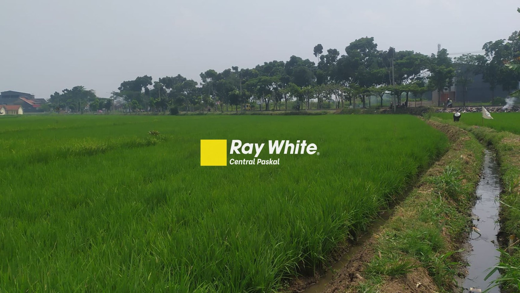 Tanah Bentuk Sawah di Mainroad Alfathu Soreang