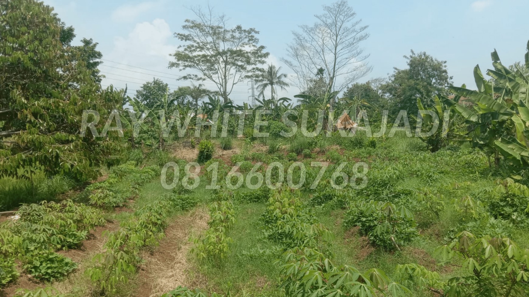 Dijual Tanah Di Cianjur 