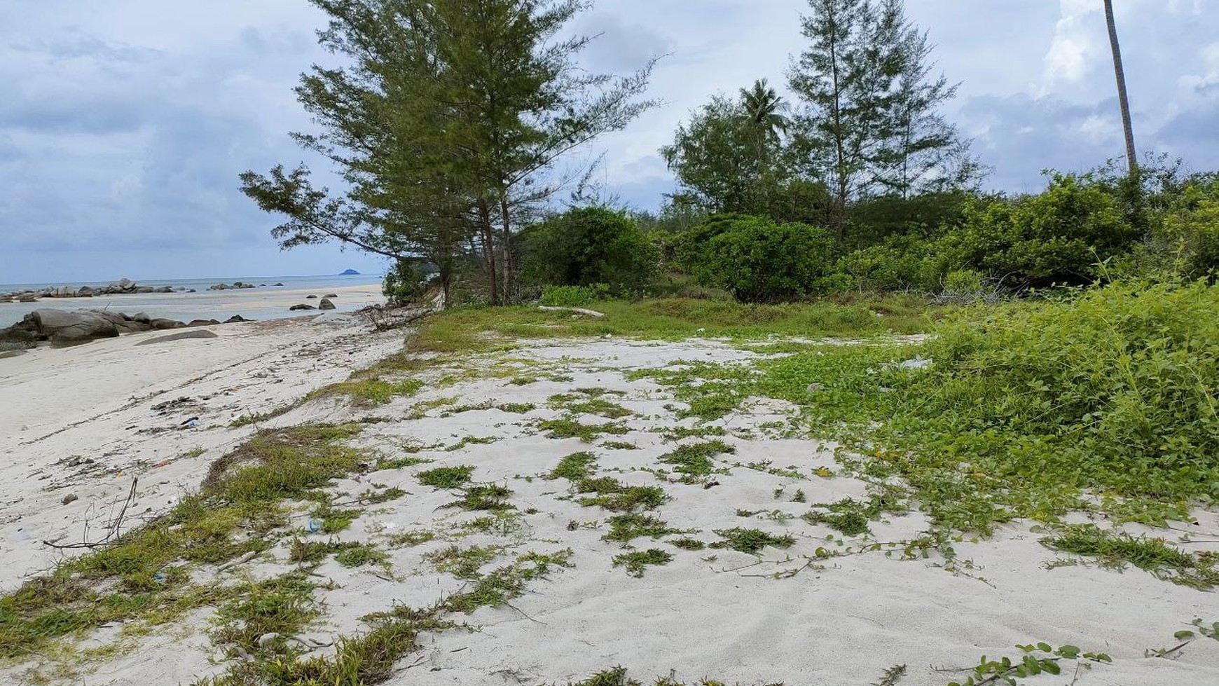Langka! Tanah Pinggir pantai dan Sungai di Sijuk, Bangka Belitung