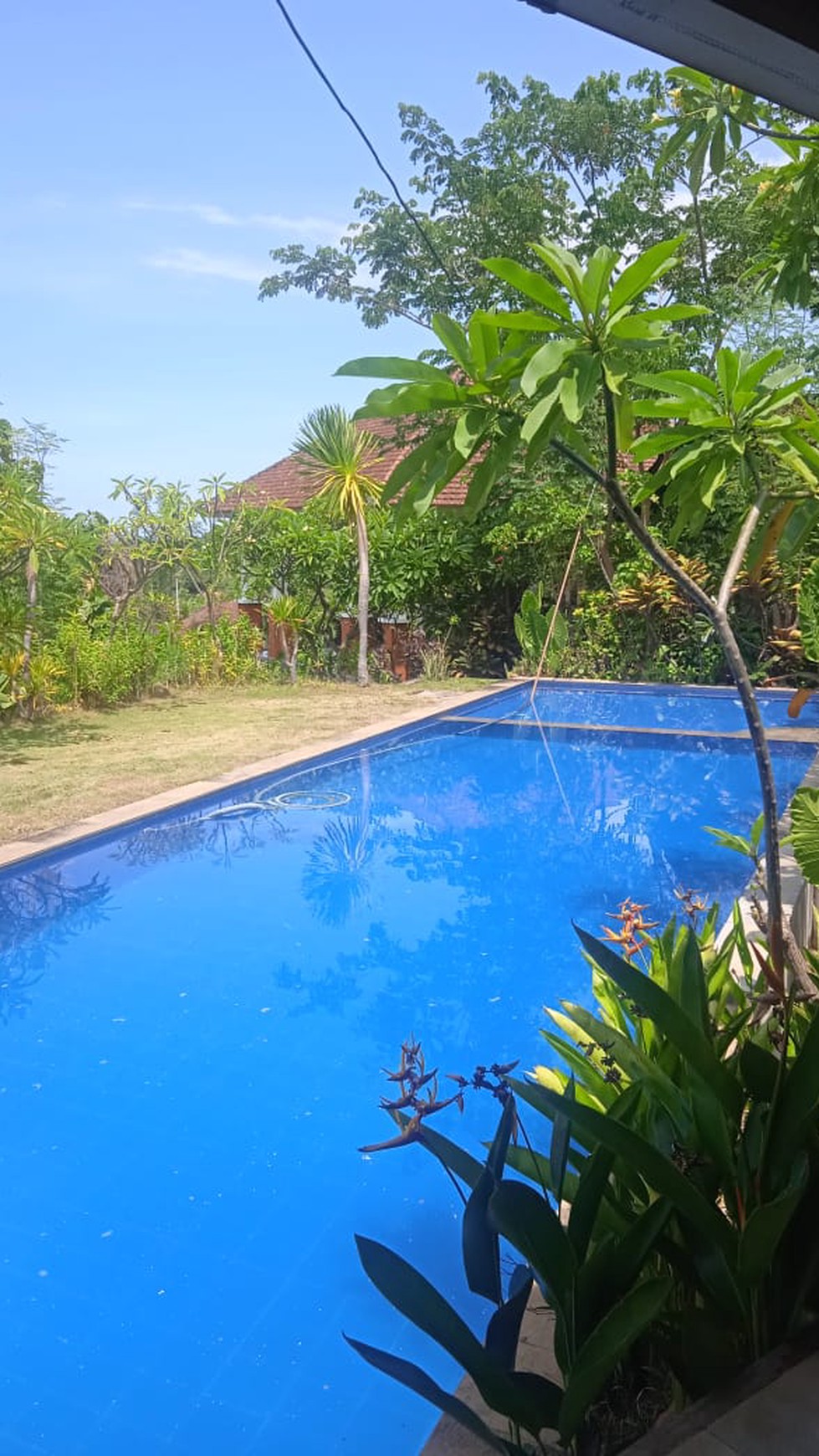 7 unit Vila di Pantai Lovina View Laut, Temukus, Buleleng, Bali