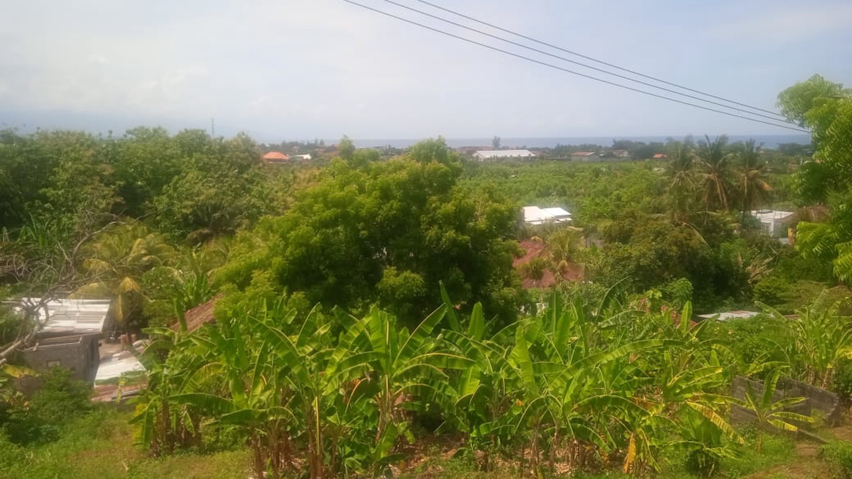 7 unit Vila di Pantai Lovina View Laut, Temukus, Buleleng, Bali