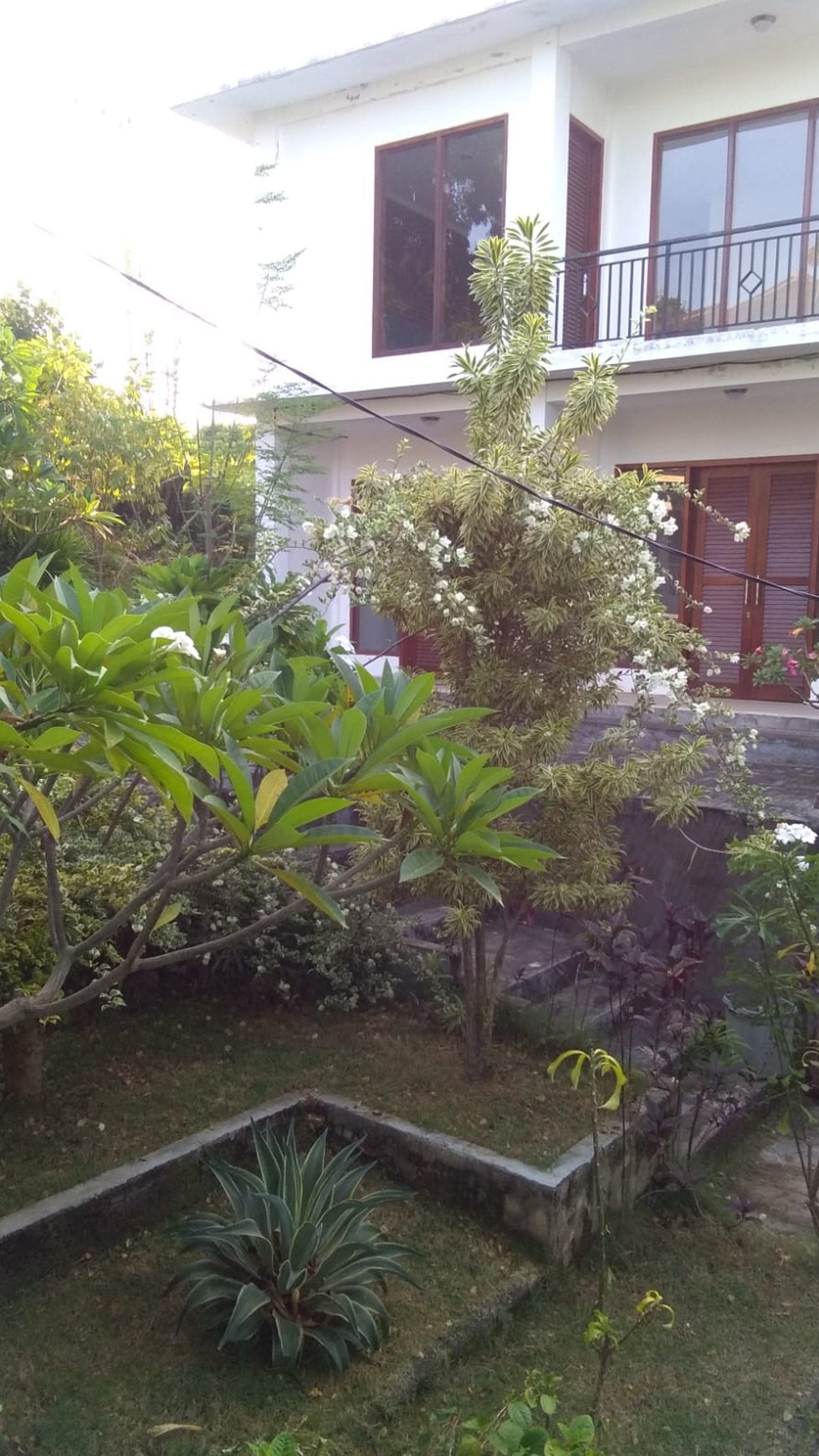 DIJUAL CEPAT, LOVINA ECOLODGE VILLA 12 UNITS FOR SALE - THE BEST PRICE FOR YOUR DREAM VILLAS IN BALI