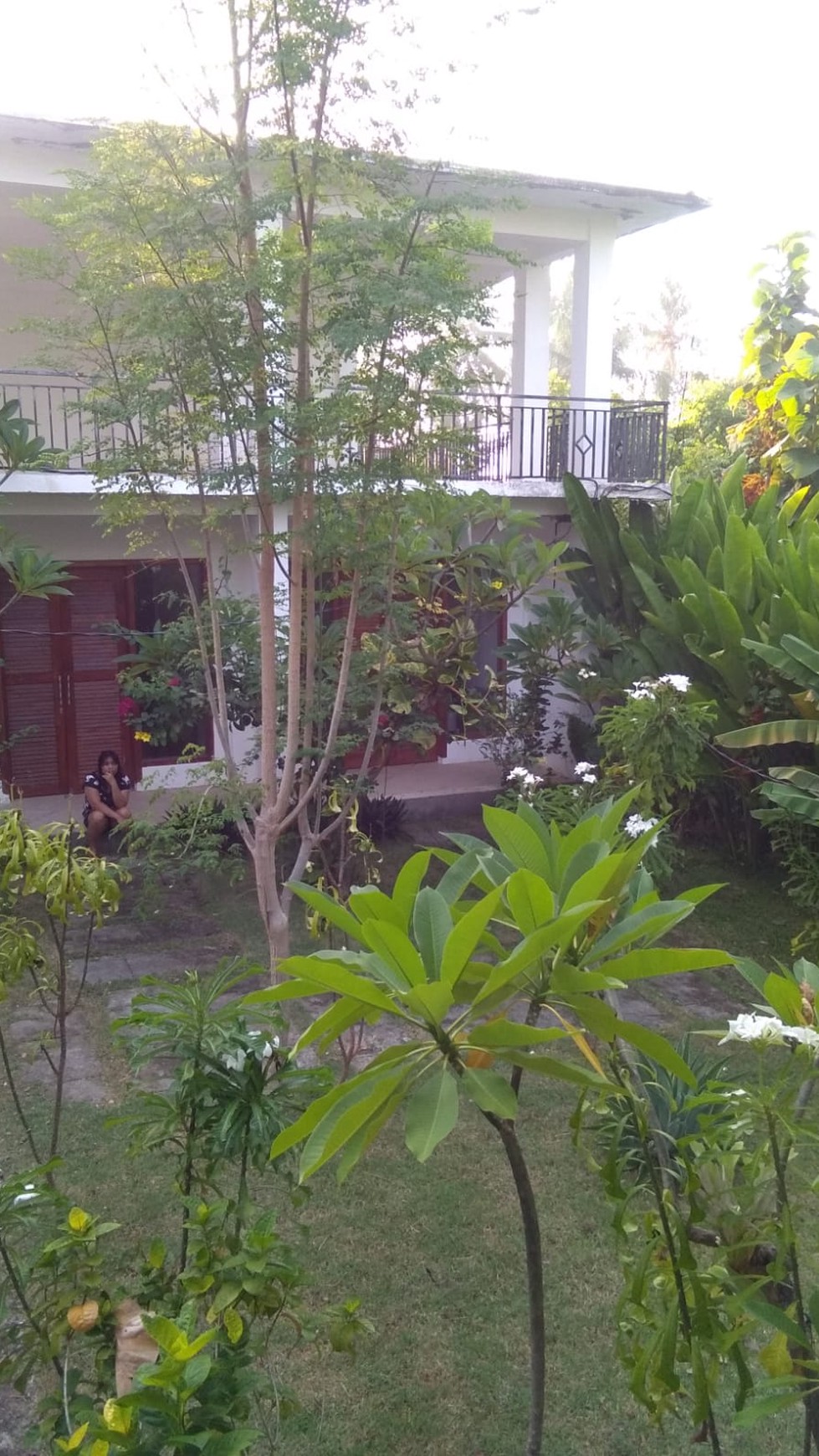 DIJUAL CEPAT, LOVINA ECOLODGE VILLA 12 UNITS FOR SALE - THE BEST PRICE FOR YOUR DREAM VILLAS IN BALI