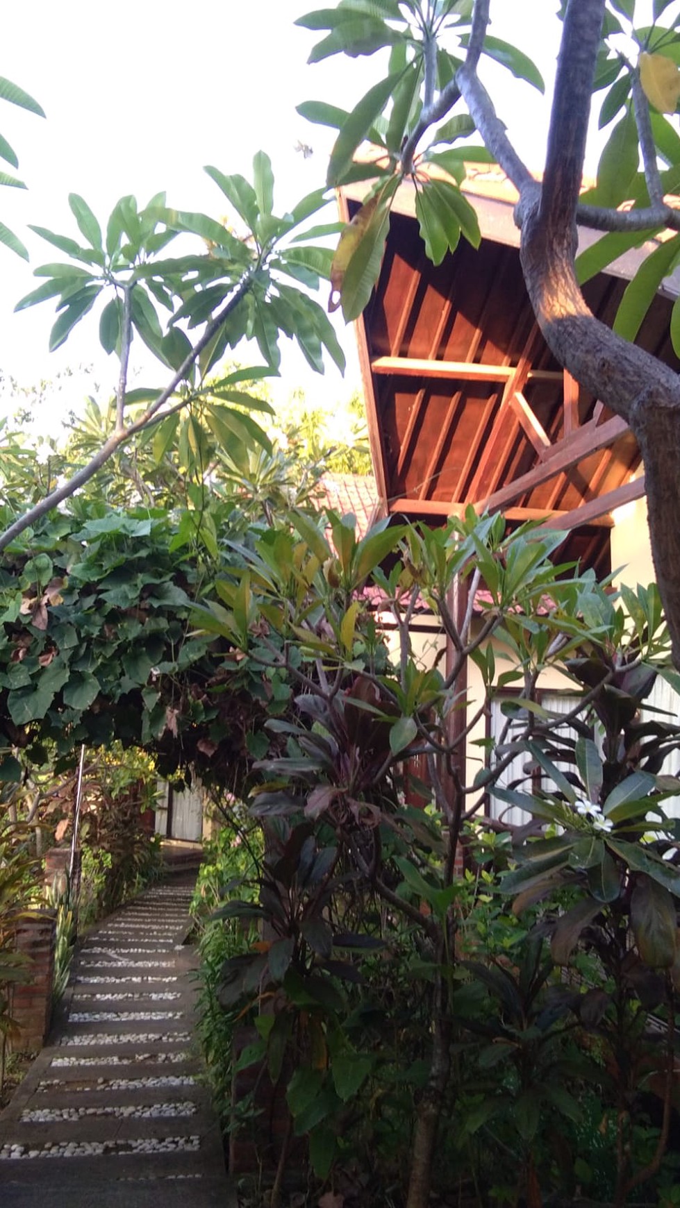 DIJUAL CEPAT, LOVINA ECOLODGE VILLA 12 UNITS FOR SALE - THE BEST PRICE FOR YOUR DREAM VILLAS IN BALI