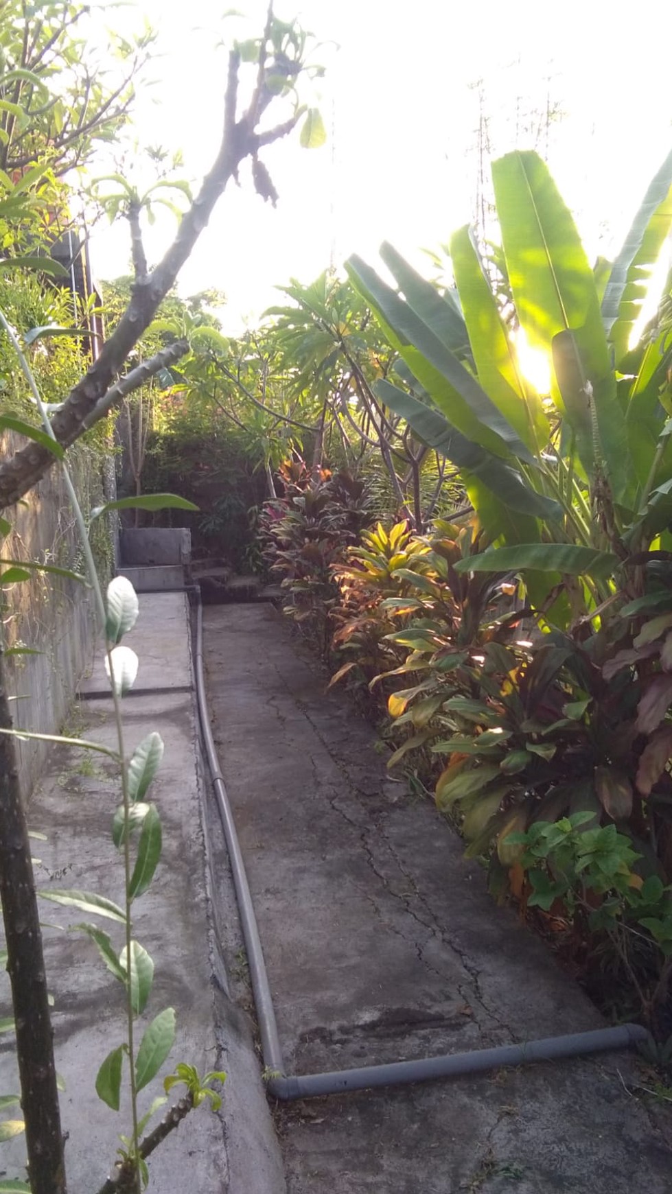 7 unit Vila di Pantai Lovina View Laut, Temukus, Buleleng, Bali