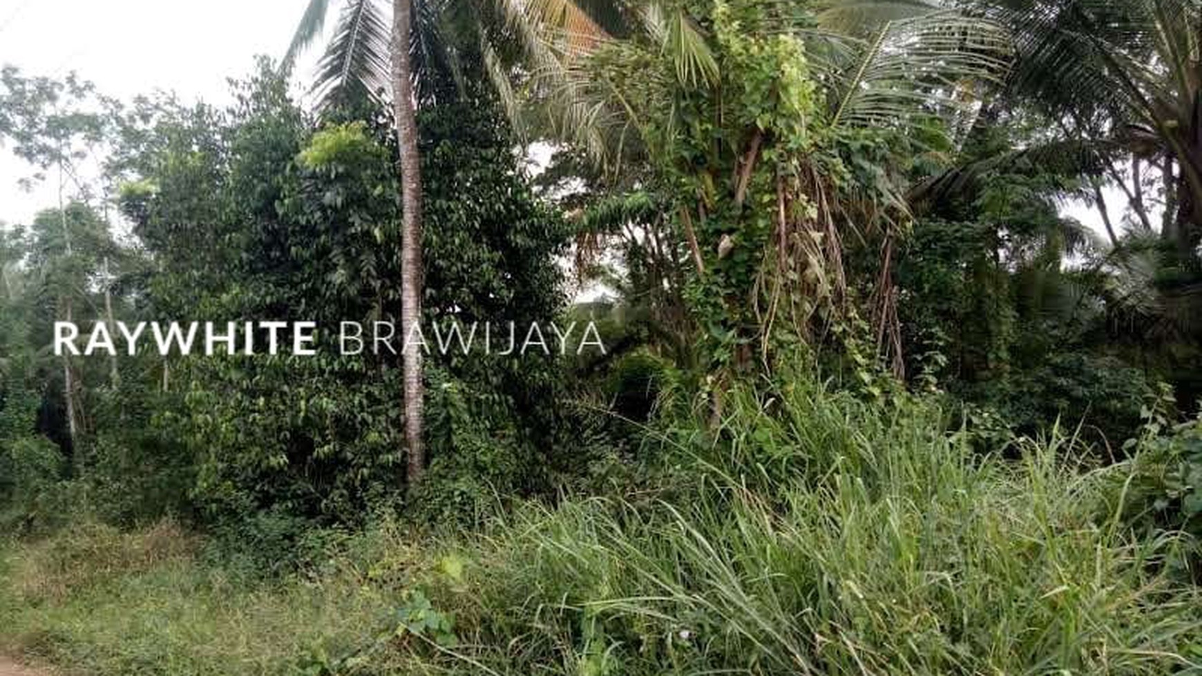 Kavling Tanah Dekat dengan Pantai Anyer Area Serang Banten