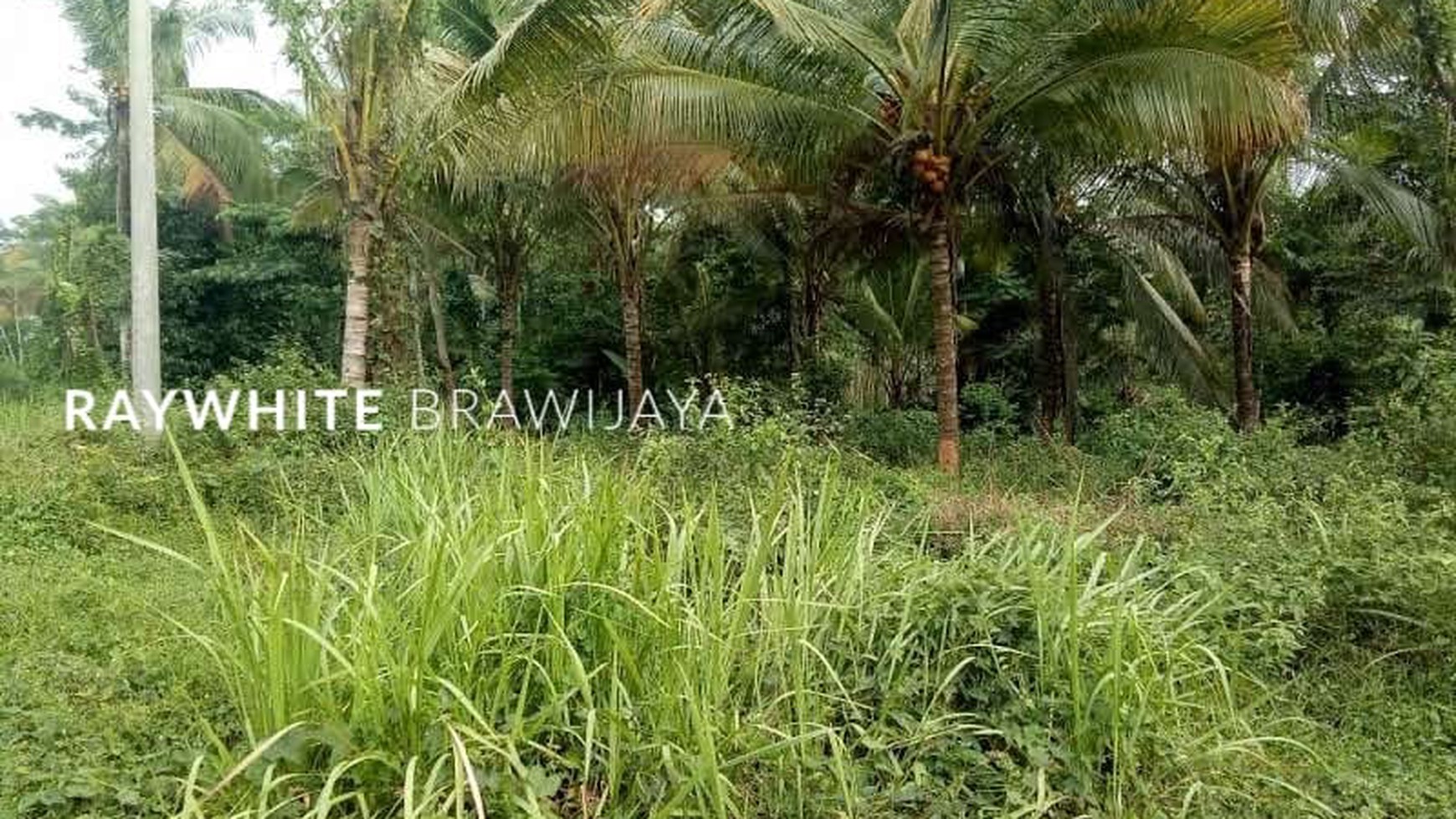 Kavling Tanah Dekat dengan Pantai Anyer Area Serang Banten