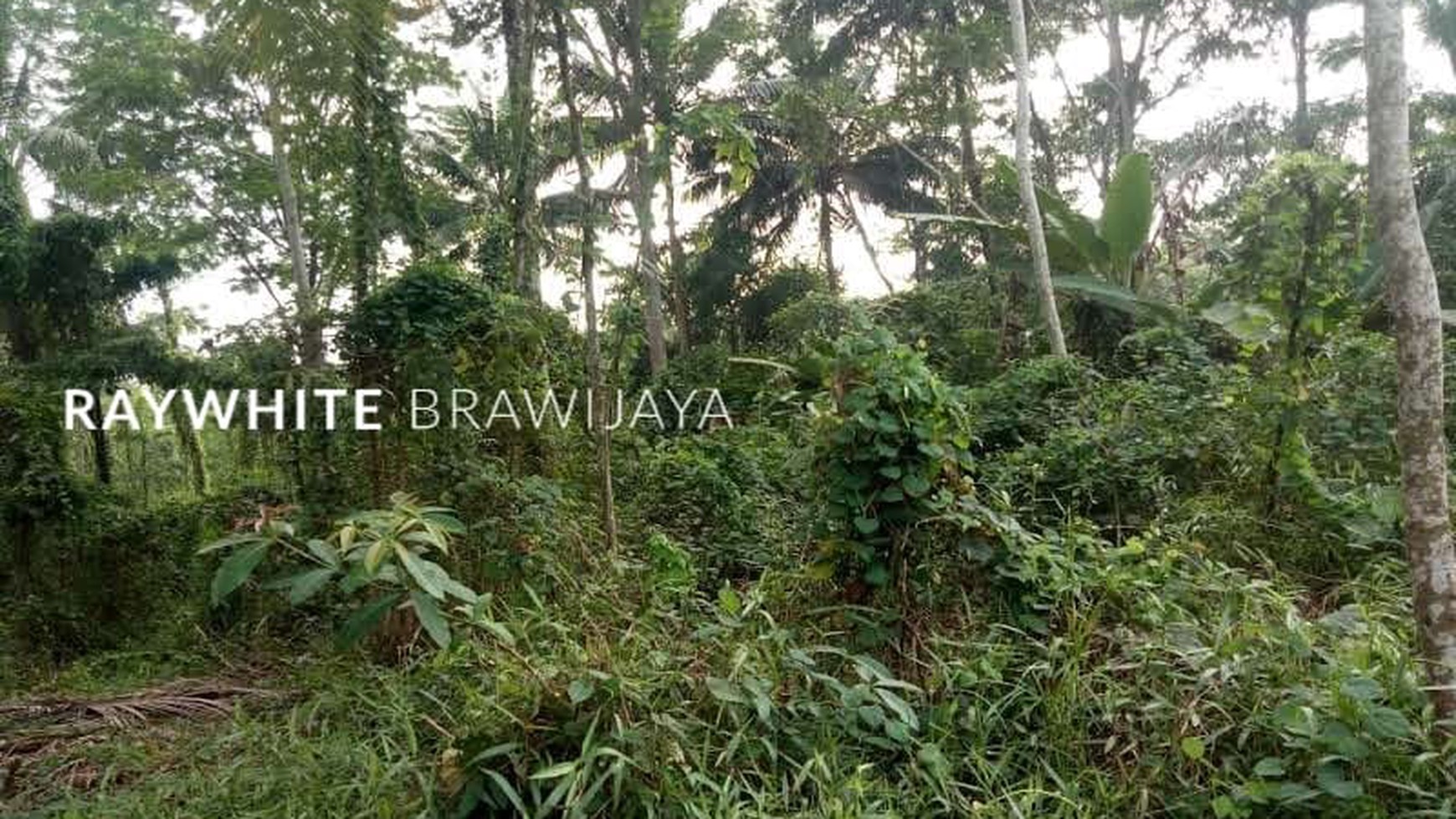 Kavling Tanah Dekat dengan Pantai Anyer Area Serang Banten