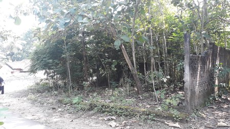 TANAH PEKARANGAN DIATAS 1000 METER PERSEGI, ARGOADI, SEDAYU