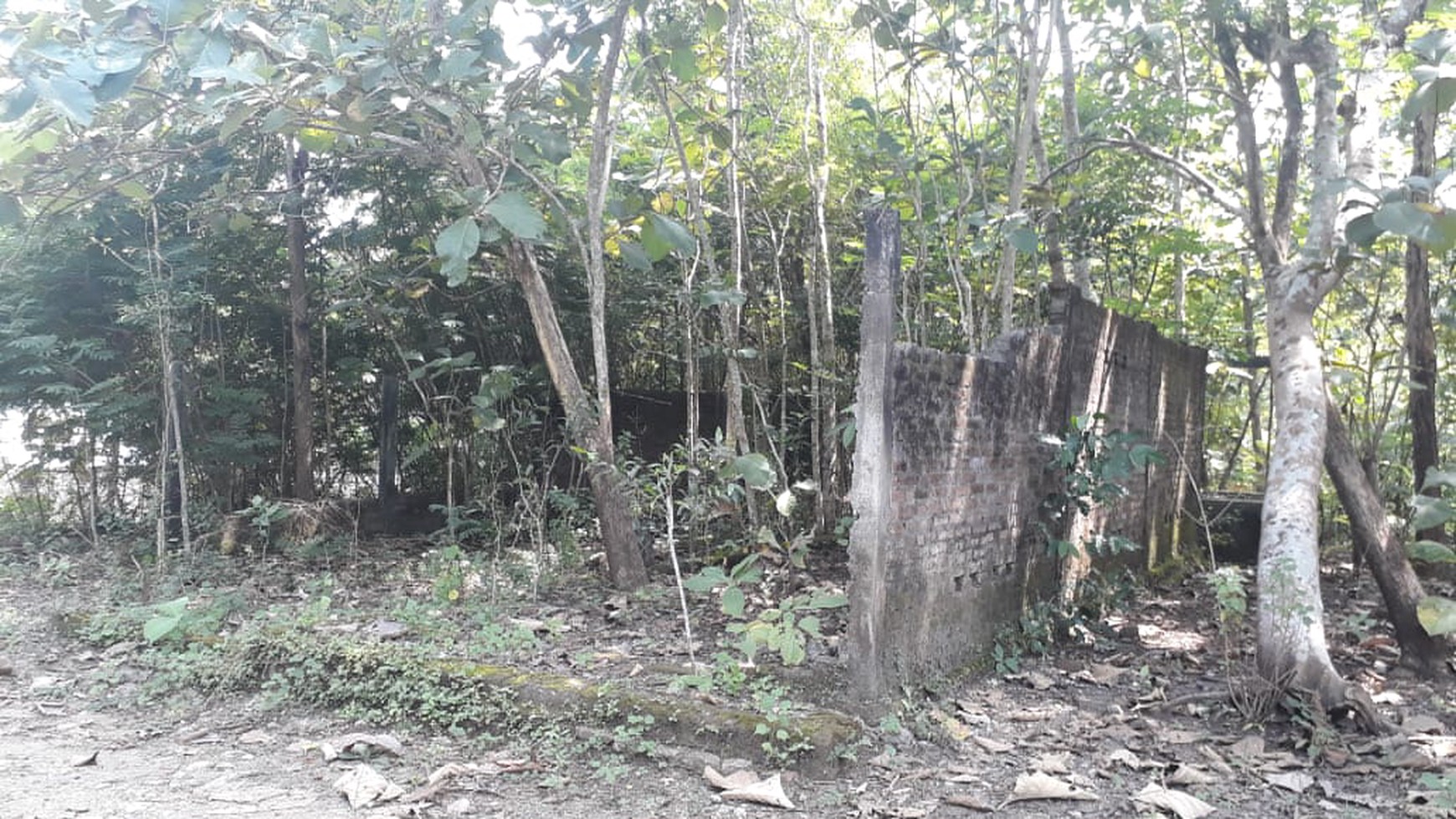TANAH PEKARANGAN DIATAS 1000 METER PERSEGI, ARGOADI, SEDAYU