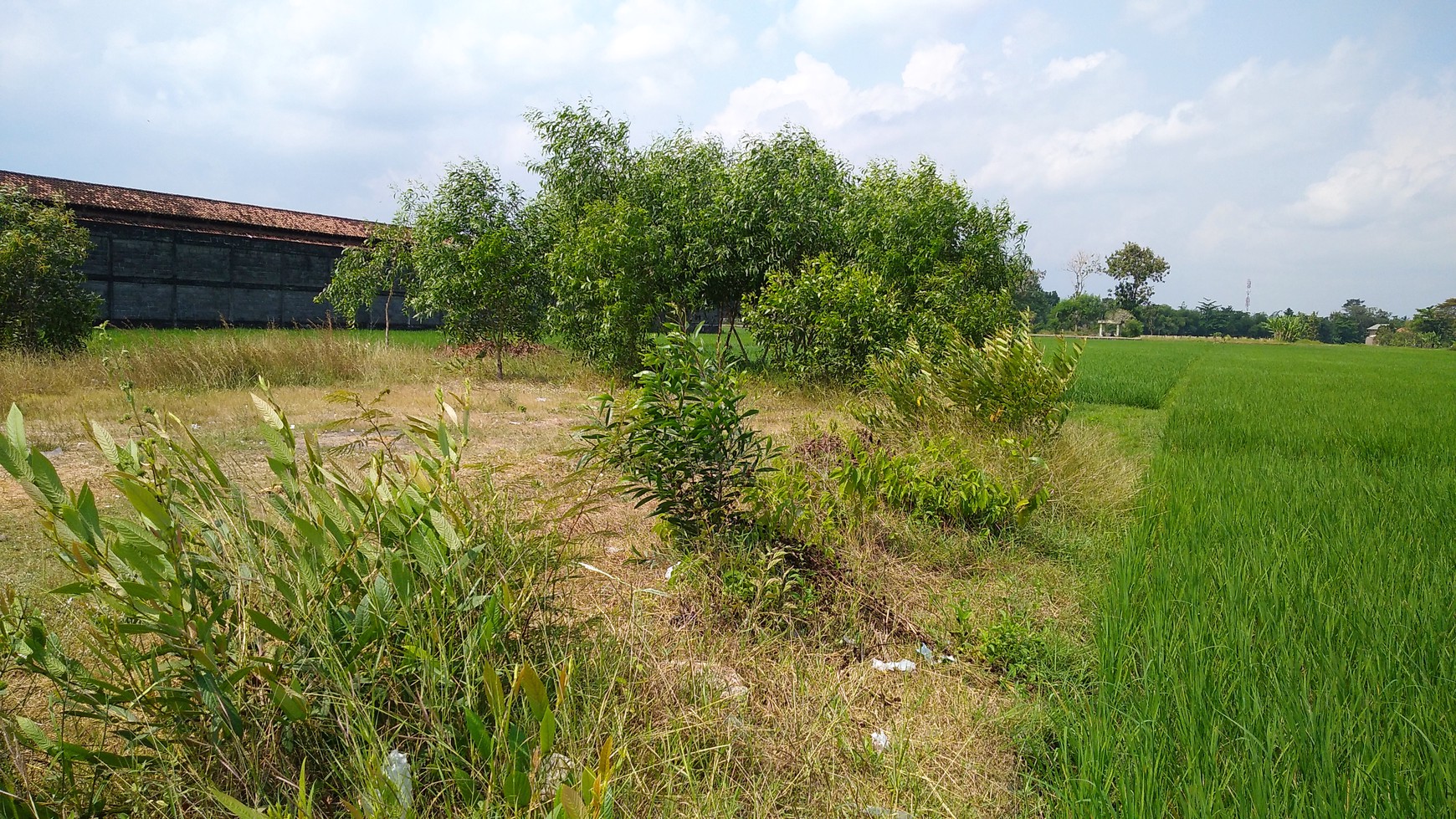 TANAH SELUAS 4807 METER PERSEGI, DI JL PEDES - GODEAN, SLEMAN