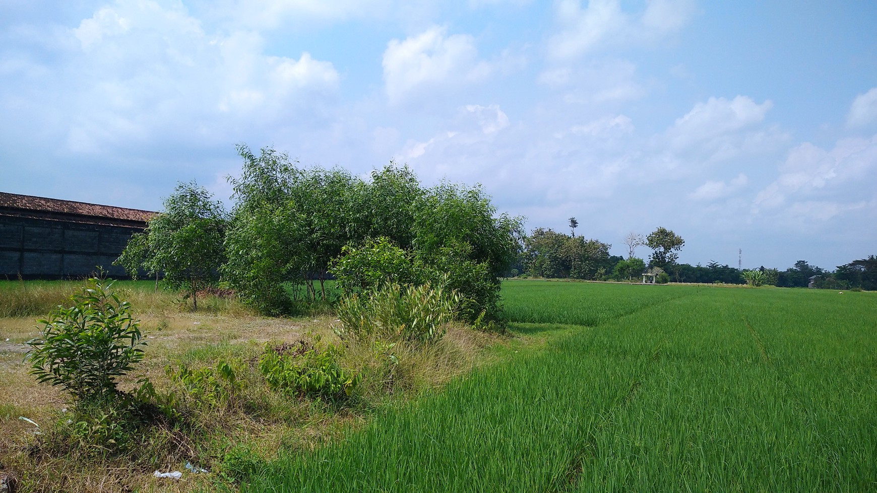 TANAH SELUAS 4807 METER PERSEGI, DI JL PEDES - GODEAN, SLEMAN