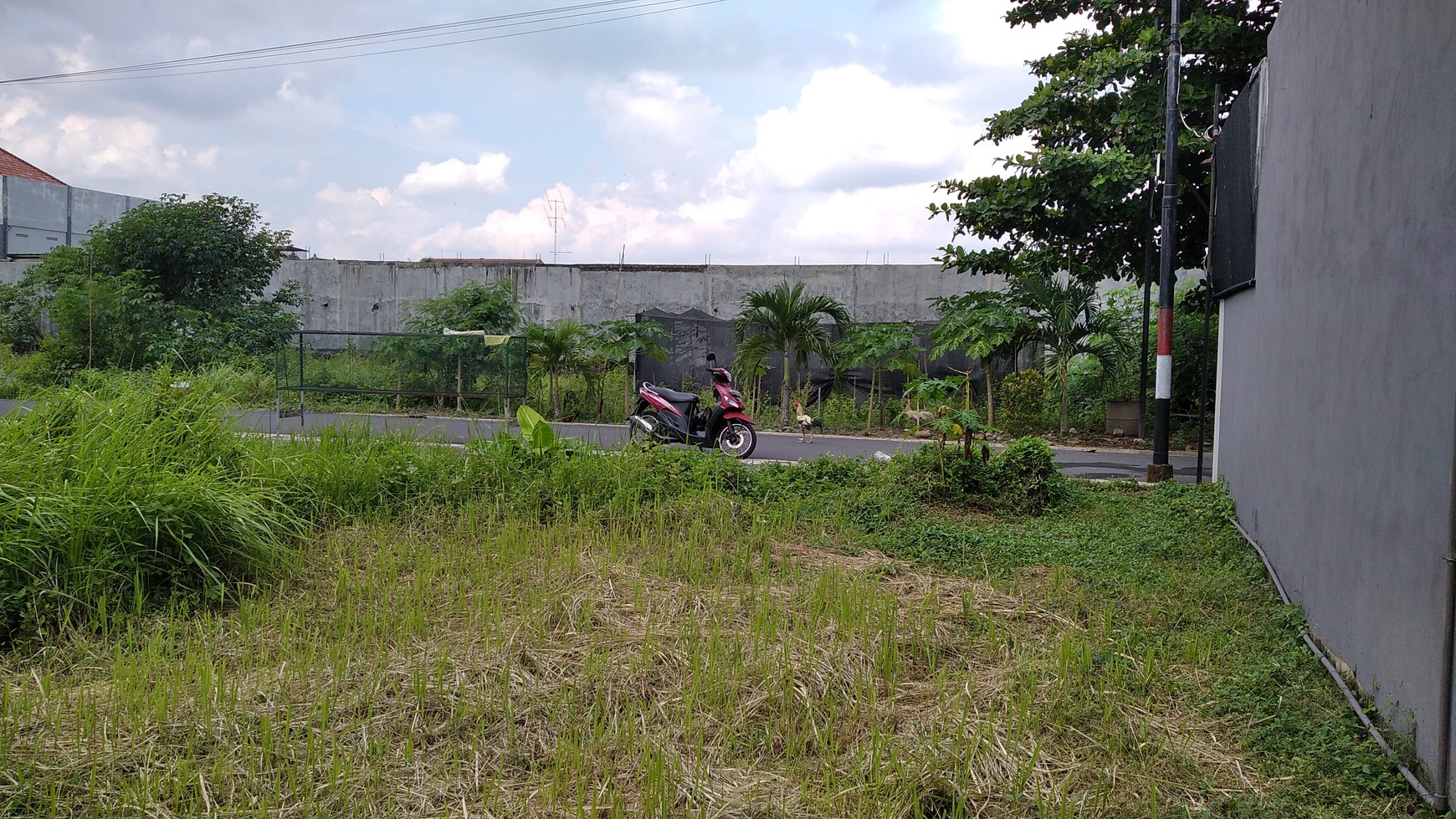 3 TANAH KAVLING, DI JL JAMBON, TEGALREJO, YOGYAKARTA