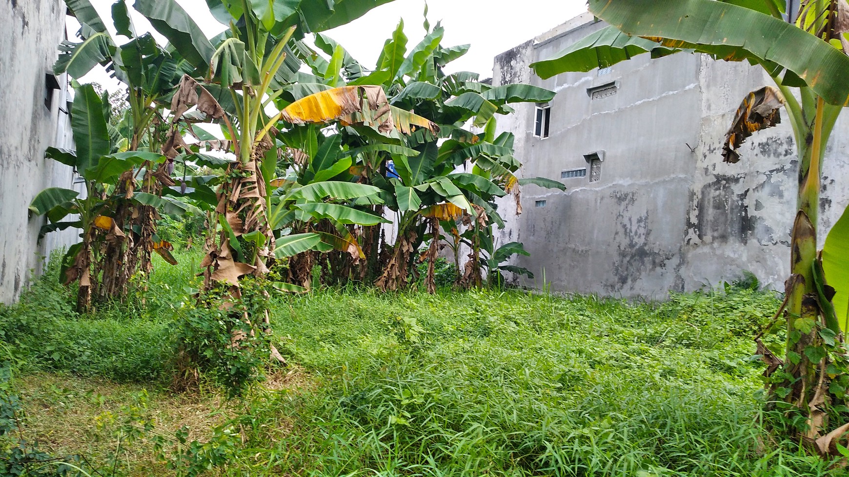 3 TANAH KAVLING, DI JL JAMBON, TEGALREJO, YOGYAKARTA