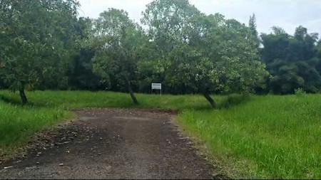 Tanah Luas 1000 m2 di Citra Indah Raya Jonggol Bogor Jawa Barat