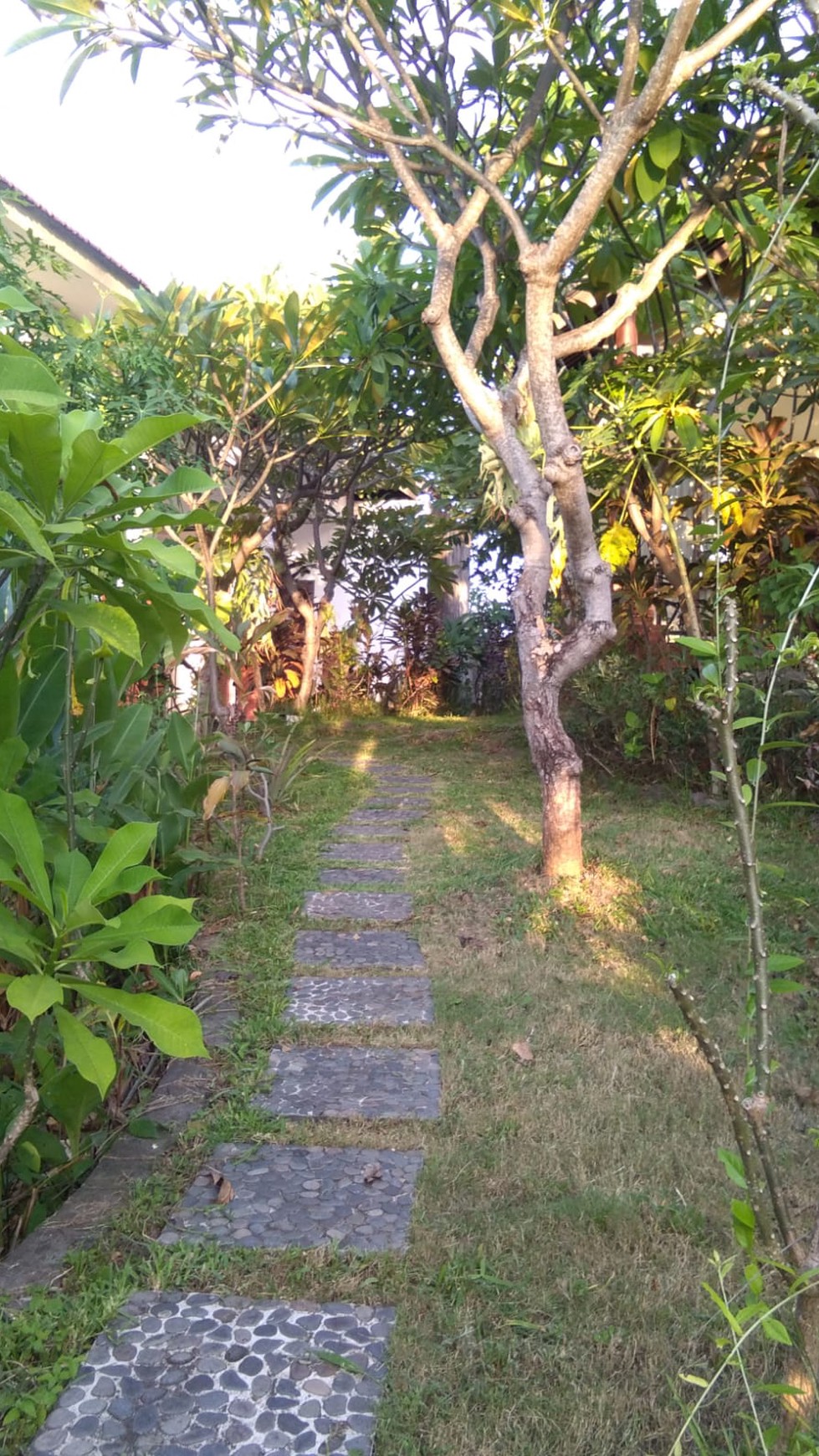 Villa Lovina Ecolodge, Buleleng, Bali