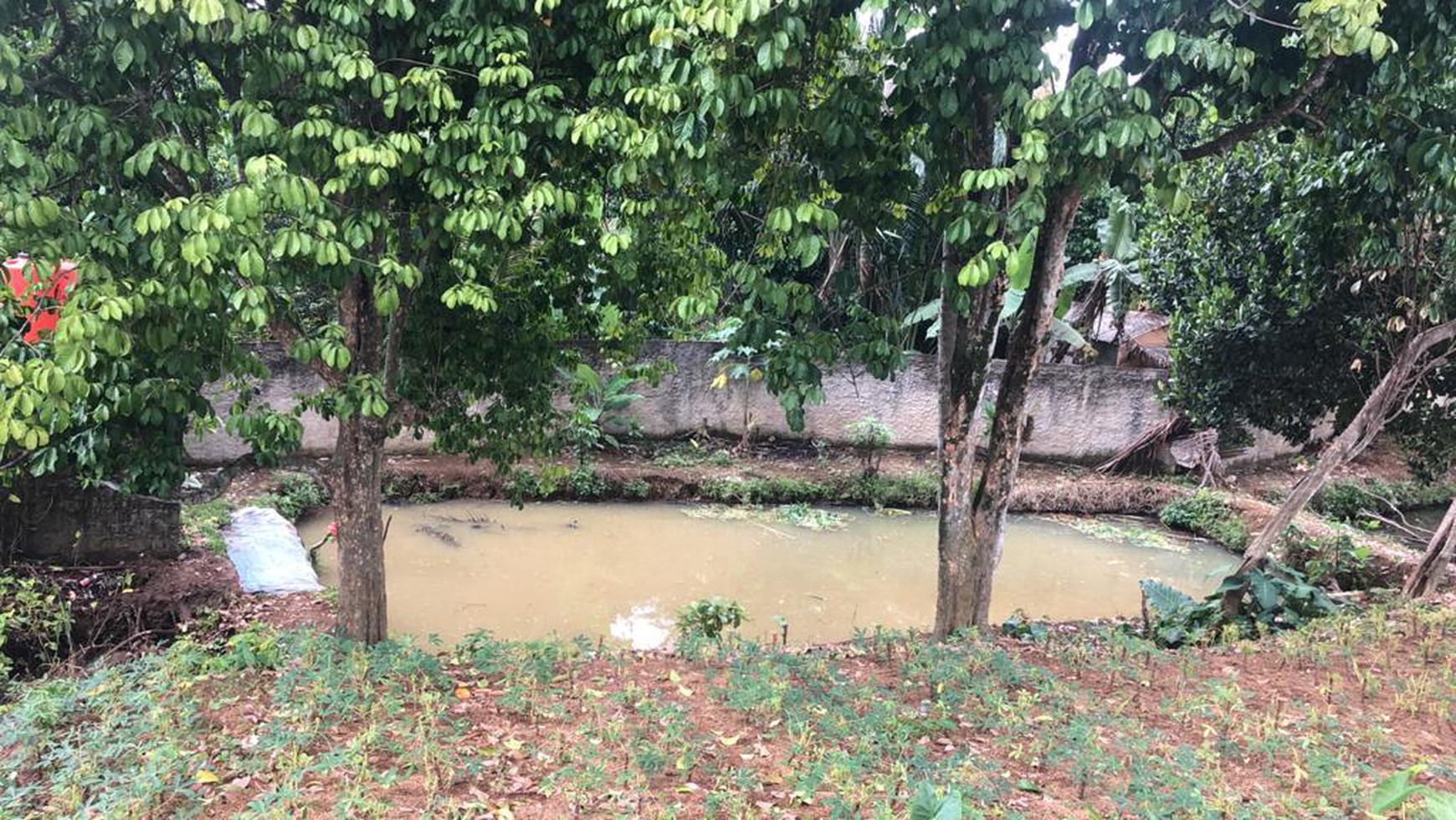 Tanah Kampung Sawah Semplak, Bogor Luas 3900m2