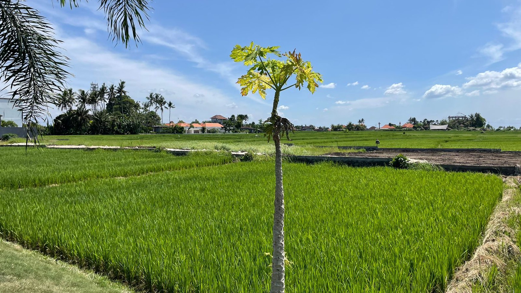 land and house  near Cemagi Beach