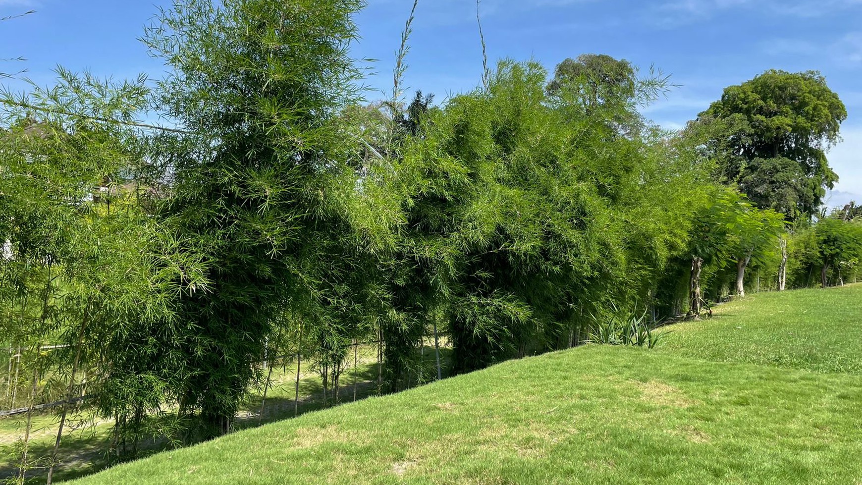 land and house  near Cemagi Beach