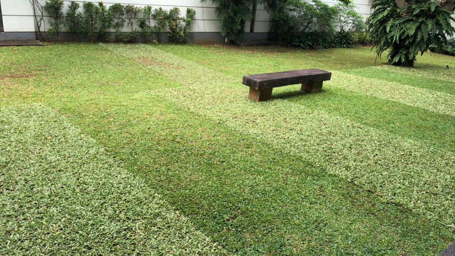 Rumah Mewah Siap Huni dengan Halaman Luas dan Hunian Nyaman @Cilandak