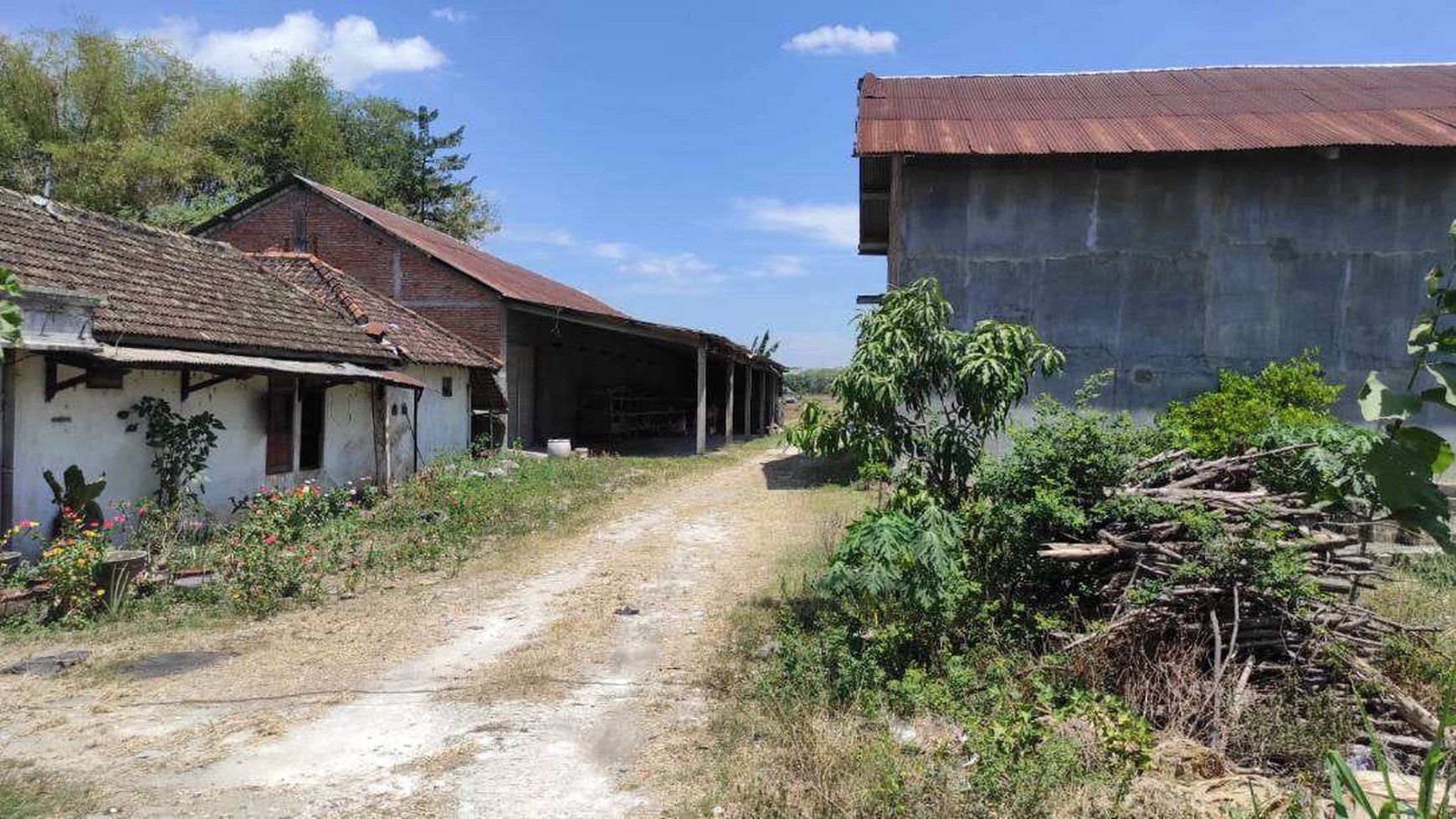 1625. Dijual Rumah, Gudang, Tanah Jalan Raya Soko Kabupaten Tuban