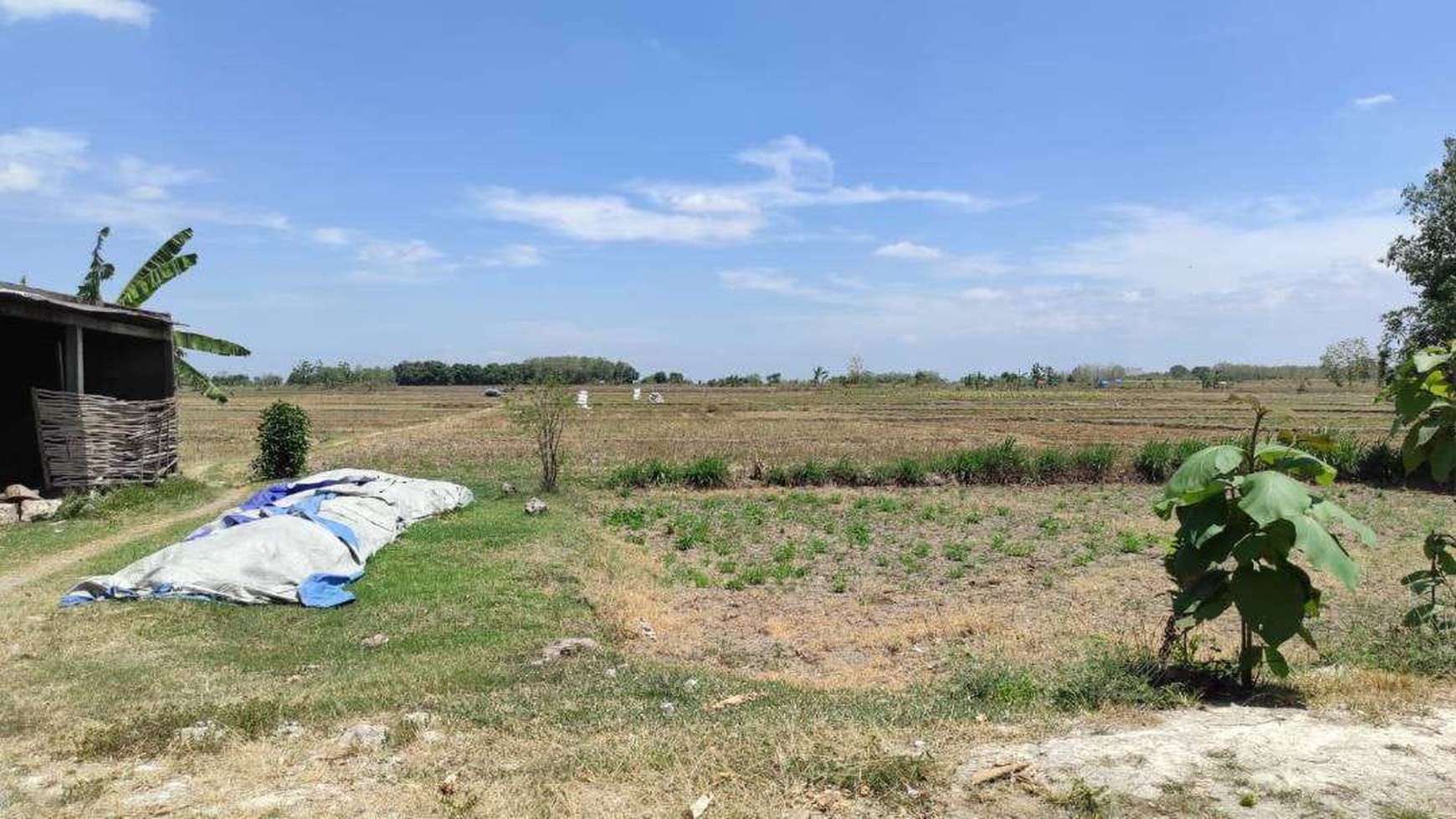 1625. Dijual Rumah, Gudang, Tanah Jalan Raya Soko Kabupaten Tuban