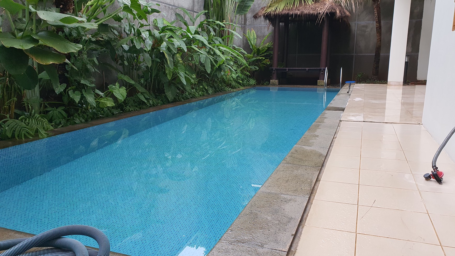 Bright and Cozy House with nice Backyard in Kemang